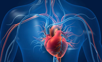 القلب و الأوعية الدموية