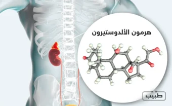 هرمون الألدوستين تنتجه الغدة الكظرية وله العديد من الوظائف الهامة في الجسم