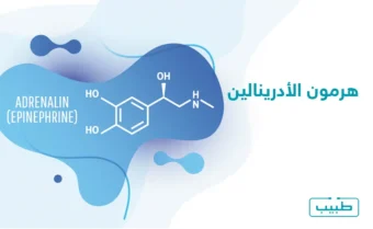هرمون الأدرينالين عنصر أساسي في جهاز الاستجابة للتوتر في الجسم، ويؤثر على العديد من الوظائف الحيوية
