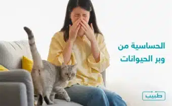 تحدث أعراض نوبة التحسس تجاه وبر الحيوانات بعد فترة قصيرة من الاحتكاك والاتصال بالحيوان